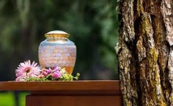 Funeraria DIGNITY Calpe (Costa Blanca)