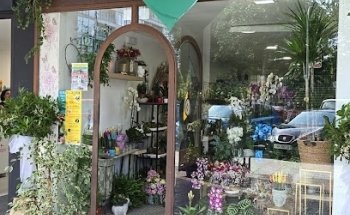Floristeria Carmina
