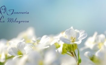 Funeraria La Milagrosa - Funerarias Zaragoza