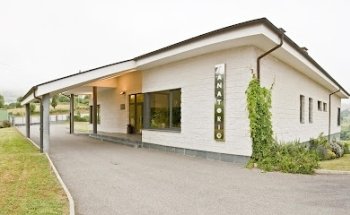 Floristería Domingo