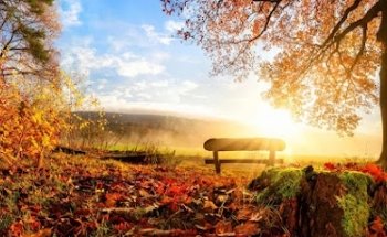 Funeraria San Vicente