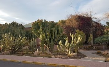 Tanatorio Funeraria Santa Lucía