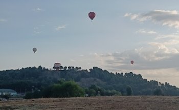 Servicios funerarios