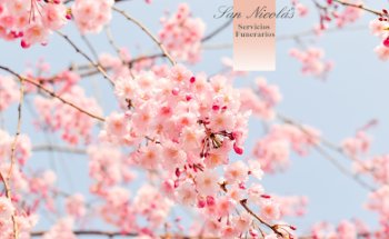 Funeraria San Nicolás