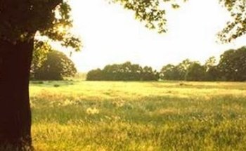 Funeraria y Tanatorio La Paz