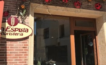Floristería Guardo (Palencia), flores, La Espiga Arte Floral