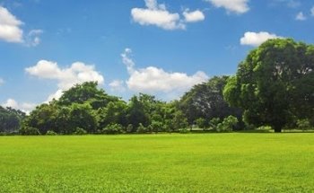 Servicios funerarios Ibáñez