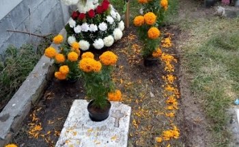 Parque Funeral el Retiro
