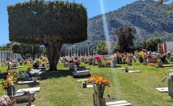 San Juan Gardens
