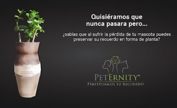 PetErnity