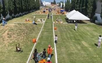 Gardens of Guadalupe