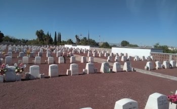 Gayosso | Jardines del Carmen