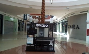 Gayosso