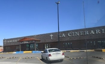La Cineraria