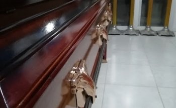 Funeraria Mecatlán