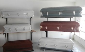 Limas Del Chapulin