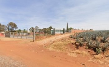 Tierra santa