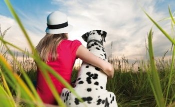 Incineracions Ecològiques S.L. (Ineco)