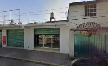 Funerarias ave fenix