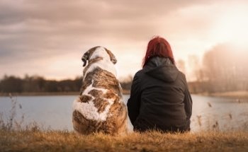 Recordarte y Sonreír - Crematorio de Mascotas
