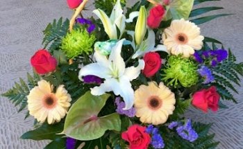 FLORISTERIA JEREMY