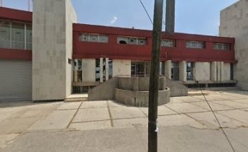 Servicio Especializado de León S.A. de C.V.