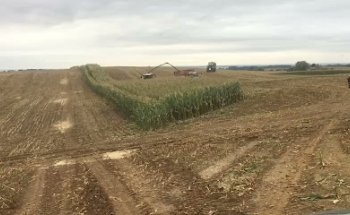 Velatorio Crematorio San Antonio Guardo