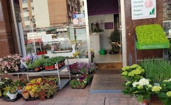 Floristeria Flores y Plantas Mariflor