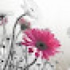 Floristería Domingo