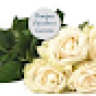 Pompas Fúnebres García