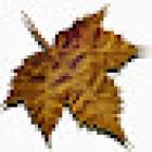 Funeraria Orbegozo Tanatorio Incineraciones Donostia