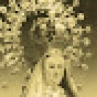 Funeraria Virgen de la Soledad
